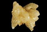 Honey Yellow Celestine (Celestite) Crystal Spray - Machow Mine, Poland #79276-2
